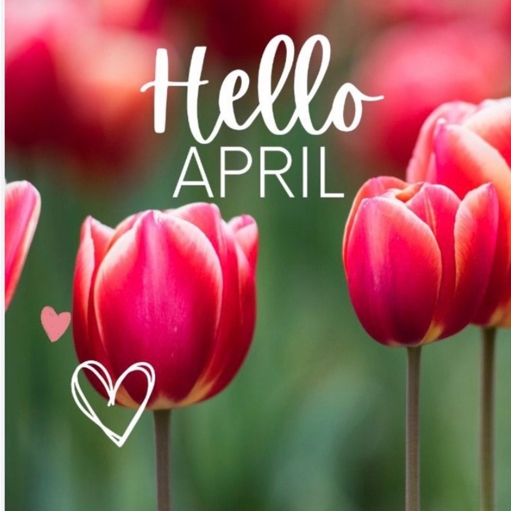 Hello April! CHECK OUT NEW SPRING SALE